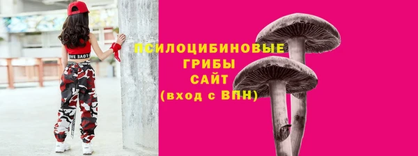 apvp Ессентукская