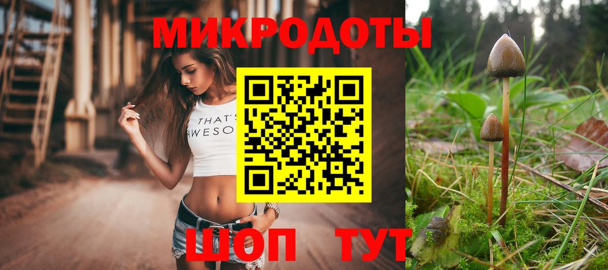 Галлюциногенные грибы GOLDEN TEACHER Калуга