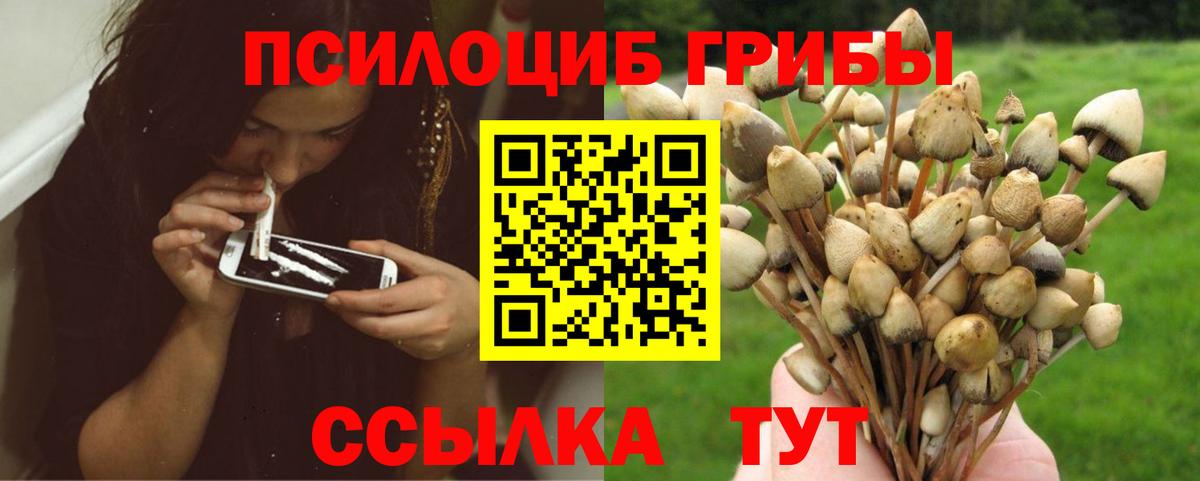 Псилоцибиновые грибы Psilocybine cubensis  Псилоцибиновые грибы ЛСД  Вход с VPN  Калуга 